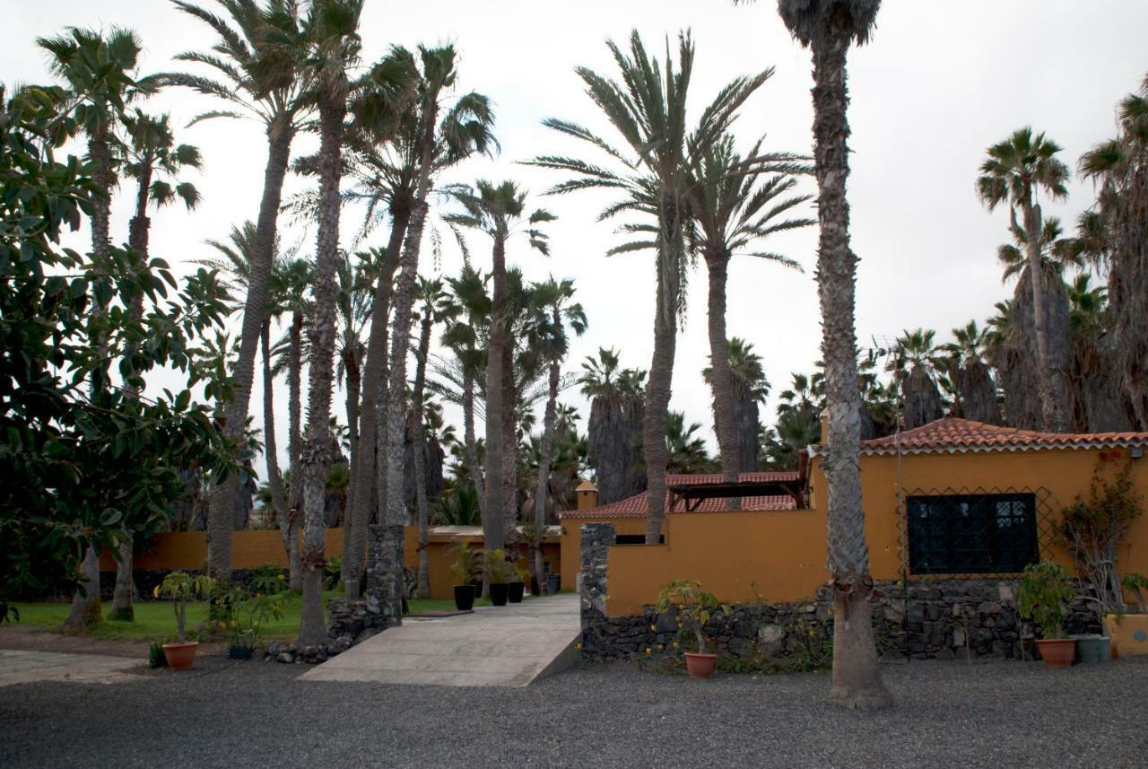 Finca Hoya Del Pozo 特尔德 外观 照片